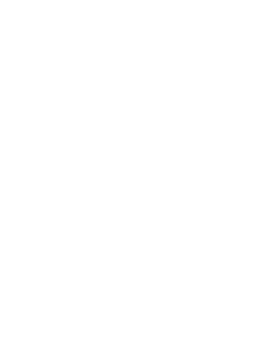 small arrow